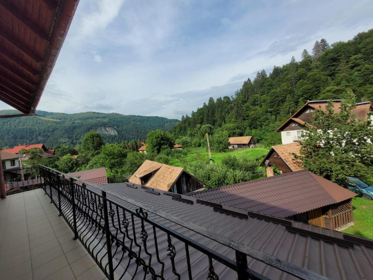 Vila Denisa Bran  Exteriör bild